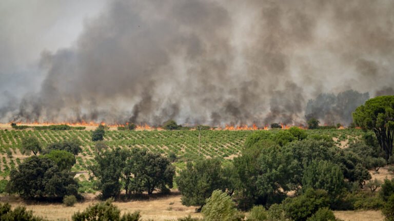 Incendio Avila Madrid