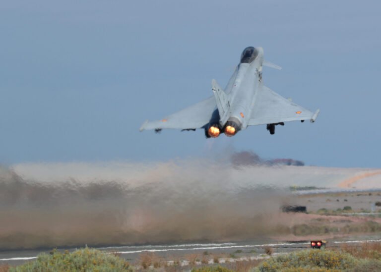 Eurofighter español, Ala 11 | Ejército del Aire y del Espacio